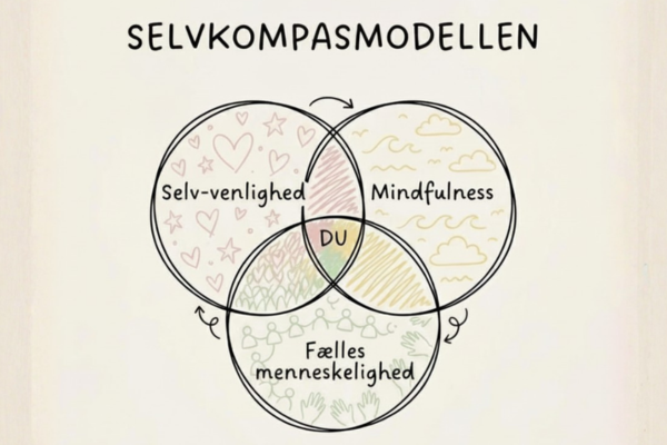Selvkompasmodellen