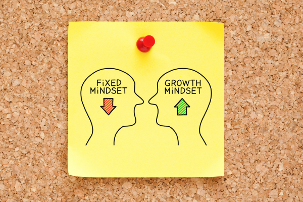 Fixed Mindset og Growth Mindset